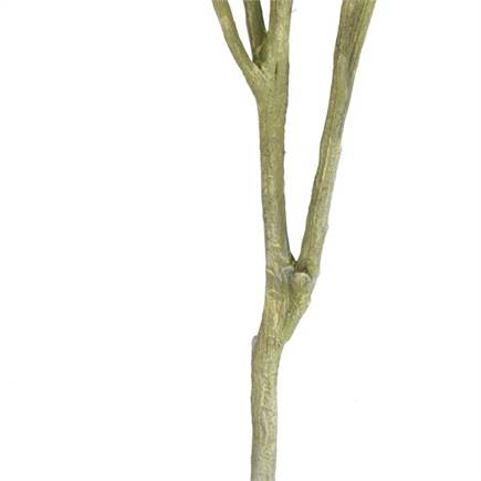 Coco Maison Eucalypthus Tree plant H195cm